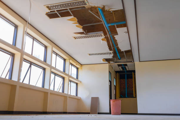 Best Water damage cleanup near me  in Redington Shores, FL