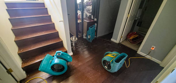 Best Flooded house restoration  in Redington Shores, FL