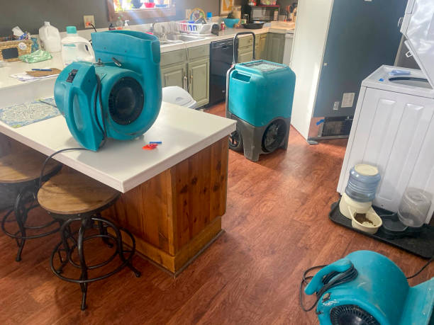 Best Flood restoration services  in Redington Shores, FL