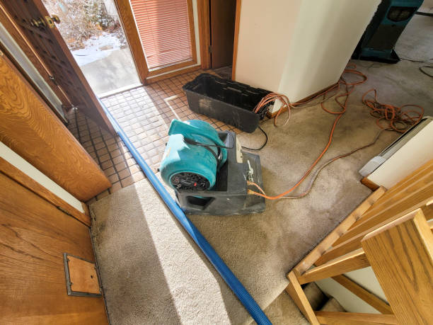 Best Water damage restoration insurance claims  in Redington Shores, FL