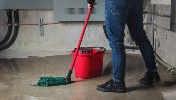 Best Water damage restoration near me  in Redington Shores, FL