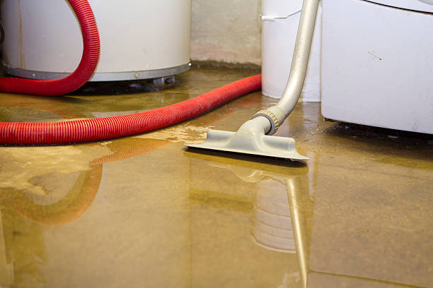 Best Local water damage restoration  in Redington Shores, FL