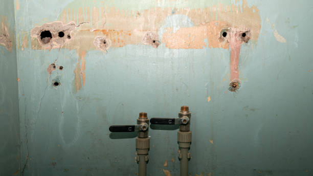 Best Sewage cleanup and water damage restoration  in Redington Shores, FL