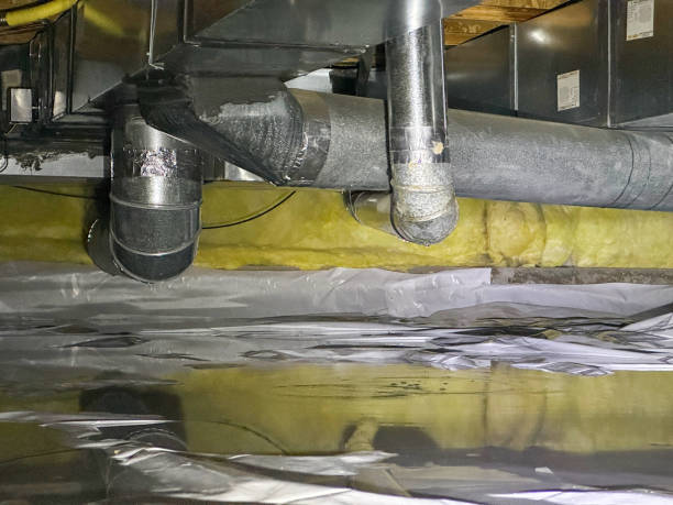  Redington Shores, FL Water damage restoration Pros
