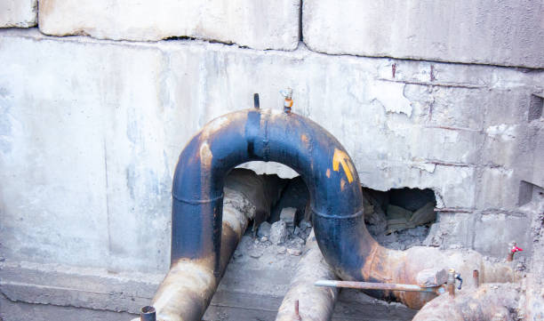 Best Mold removal after water damage  in Redington Shores, FL